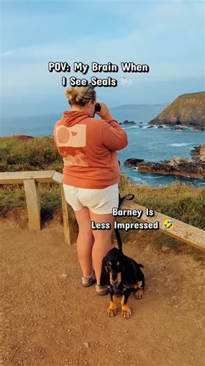 Every time I see wildlife 😅😍 Here's our top tips for seal-spotting in Cornwall: 🦭 Head to one of the following locations for the best possibility to sight them: Lizard Point, Godrevy, Polly Joke 🦭 Keep noise to a minimum so they don't get disturbed - the rush to the water in this video was because a dog started barking 🦭 Watch from a distance and bring good binoculars 🦭 If you see a seal in the water or on the beach keep your distance and enjoy the encounter To guarantee a sighting on your