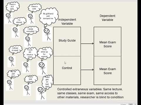 Random Sampling vs. Random Assignment