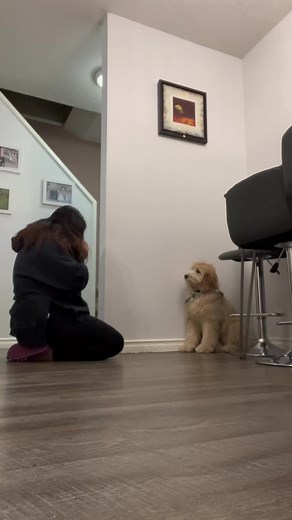 Adorable Doodle Hug Moments with My Puppy 🐶❤️