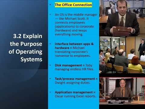 CompTIA Tech+ (FCU-071) Domain 3.2 Explain the Purpose of Operating Systems | The Office