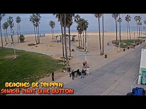 Venice Beach Webcam - Venice Beach Live Cam - venice beach live boardwalk cam