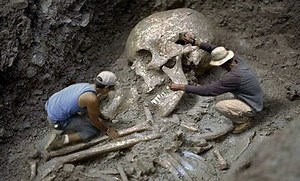 This is What Ancient Civilizations said about a Race of Giants Existing on Earth…