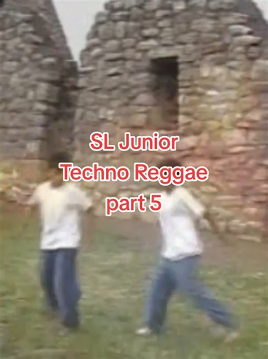 techno reggae ✨💯✨ SL Junior part 5 #newdance #los90♥️ #tacna_peru🇵🇪 #techno #baile