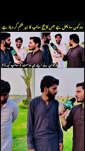 #Daily_mianwali #میانوالی_سرائیکی #foryou