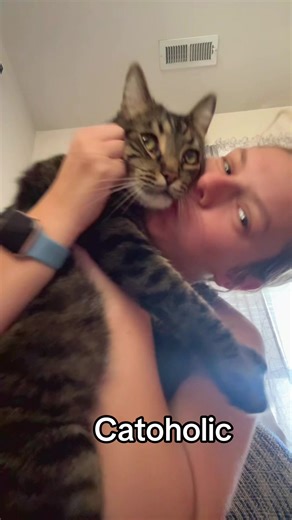 KITTY #catoholic #fyp #foryoupage #foryoupage❤️❤️ #catsoftiktok | cats