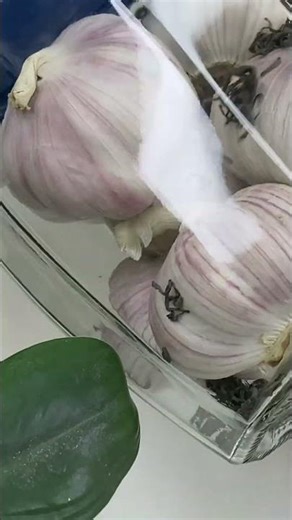 How To Store Garlic!