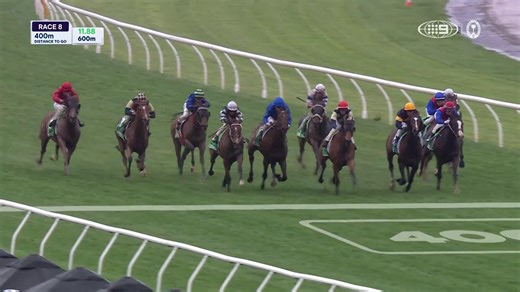 120K views · 1.7K reactions | Via Sistina shows her class - what a beautiful horse.  ️#MelbCupCarnival | Live and Free on Channel 9 and 9Now. #9WWOS #StakesDay #Racing | Wide World of Sports | Facebook