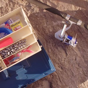 Heading fishing this summer? Don't forget these essentials! | Anaconda Stores