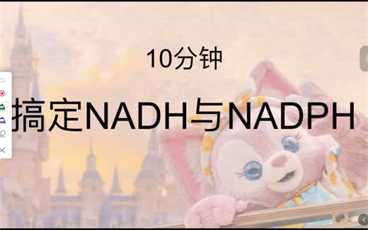 不到10分钟就让能你搞定NADH和NADPH！