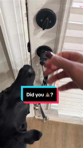 Blessing the Food with Our Dogs