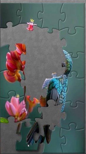 Puzzle | Bird