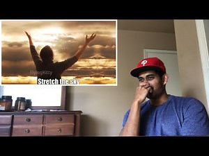 A Man has a mental breakdown in Lego City Flyingkitty Reaction