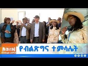 የብልጽግና ፓርቲ የስራ አስፈጻሚ ኮሚቴ አባላት በአዲስ አበባ ከተማ ያደረጉት ጉብኝት