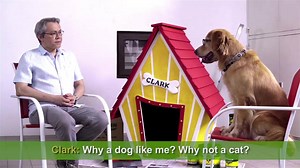288K views · 400 shares | A wooftacular interview with Director Michael Williams, director of BOYSEN's "Woof" TVC. | Boysen Paints Philippines | Facebook
