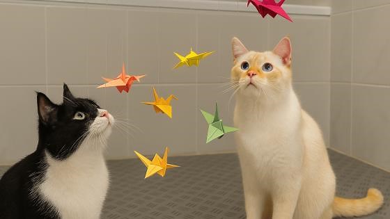 Origami birds confuse the feline philosophers