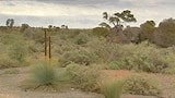 Arid Lands Botanic Gardens - Gardening Australia