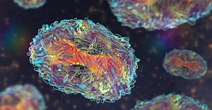 ¿Qué es la viruela del mono? La enfermedad que ha activado las alertas internacionales