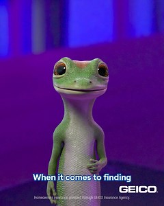 Bust a move! GEICO works for you to find the perfect home insurance policy. | GEICO