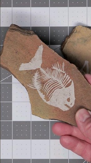 20 watt laser engraver on rocks!