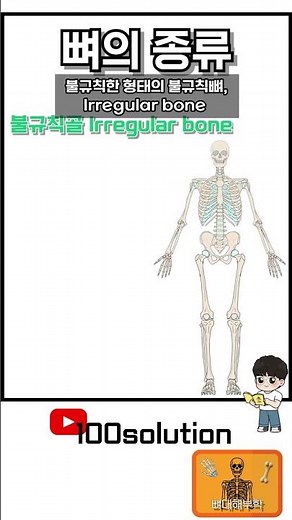 #SkeletalAnatomy #Anatomy #SkeletalSystem #Bones #ClassificationOfBones #BodyCorrection #Exercise...
