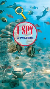 Looking to encourage screen-free entertainment this summer? Get a copy of I Spy Ocean Animals for your little ones today. | Scholastic | Facebook
