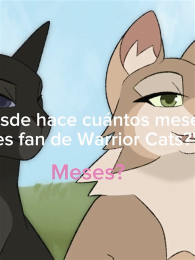 Explore the World of Warrior Cats Animation