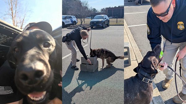 PHOTOS: Explosive detection K9 teams trained by FBI Richmond bomb techs