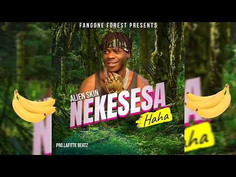Alien skin - Nekesesa (Official Audio Music )