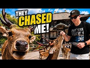 Japan’s Famous Deer Park 🦌 | Walking Nara Park (2026)
