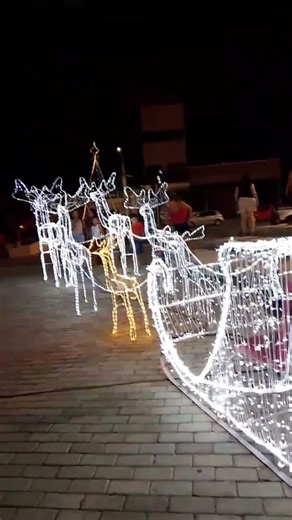 trenó de pisca-pisca