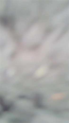 The Rescue takes a turn for the worst… #stopmotionvideos #bioniclemocs #bioformers #transformers #transformersprime