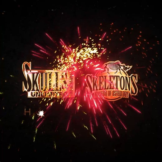Happy New Year from Skulls Unlimited! 🎉 🌟 As we step into 2024, get ready for an exciting array of new additions to our collection. Stay tuned and check our website daily for the latest and most fascinating skulls. We can't wait to share our ever-expanding world of osteology with you! https://www.skullsunlimited.com/ | Skulls Unlimited International, Inc.