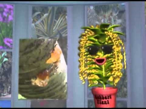 Life Science - Rock N Learn