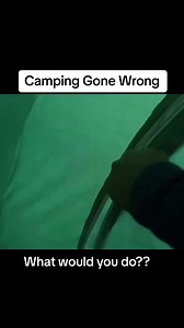 43K views · 485 reactions | Camping Gone Wrong #bear #encounter #camping #campinggonewrong #campinggonebad #wildlife #creepy | Creepy stories | Facebook