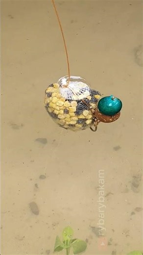 😱The ULTIMATE Spring Trap! 🌼 Insane PVA Stick Hack #рыбалка #carpfishing #fishing #karpfenangeln