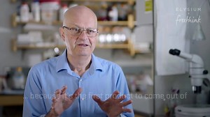 88K views · 379 reactions | An MIT researcher has turned 30 years of aging research into something you can use right now. | Elysium Health | Facebook