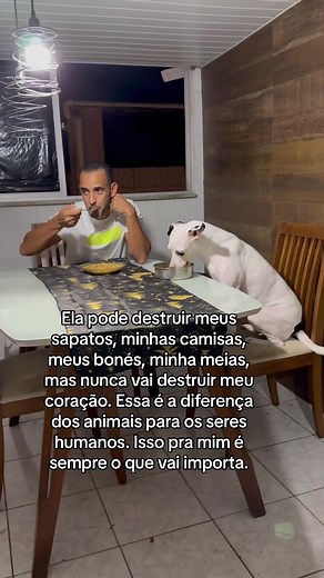 Animais: Nunca Vão Partir Seu Coração