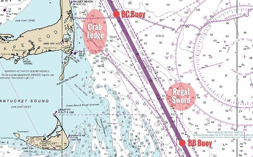 Top 4 Spots for Tuna Fishing East of Chatham - Salty Cape