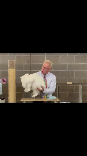 ChadCharyl Copher (@chadcharyl.copher)’s videos with That's My King - CeCe Winans