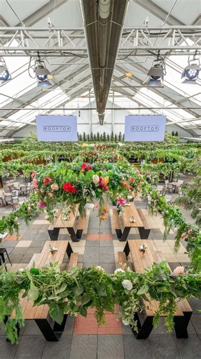 The Rooftop on Instagram: "Calgary's only year-round rooftop oasis🌺 The perfect patio for any season! #rooftoppatios #openallyearround #calgaryrestaurants #downtowncalgary #yyc #whattodoincalgary"