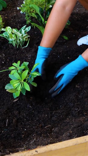 5-Minuten Tricks on Instagram: "HACKEN für einen schönen und produktiven Garten !!!"