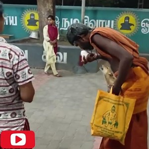 మాటలురాని మూగజీవాలు కూడా ఆ శివయ్యను ఎలా అరదిస్తున్నాయో చూడండి 🙏🏻🙏🏻 | om namasivaya arunachala siva