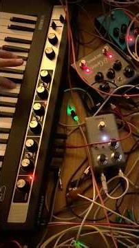 Excerpt from Distance - reface CP + Strymon #shorts