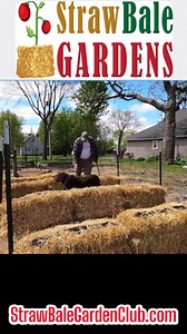 Unlock the secret to lush gardens: Straw Bale Gardening with a Balebuster. Have you tried this eco-friendly gardening technique yet?  | Learn to Grow a Straw Bale Garden | Facebook
