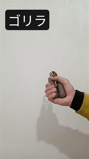 ゴリラハンドグリッパートレーニング🦍