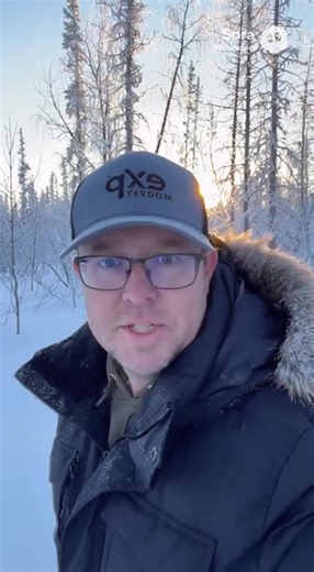 Extreme Cold in the Upper Midwest: Tree Explosions Explained