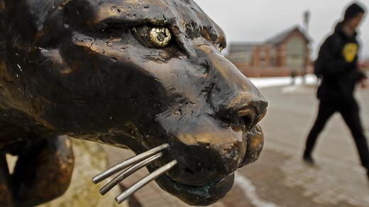 What is a Catamount? Here is what it is and why it is the University of Vermont’s mascot