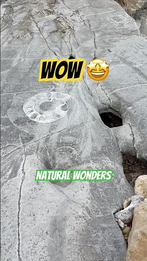 Large fossil surprises from deep time ! #fossilhunter#beachfinds#fossil