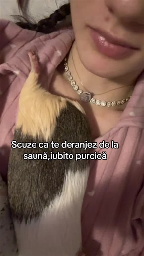 #viralll #foryoupage❤️❤️ #angi #romantico #popularvideo TikTok