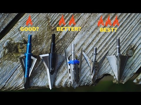 Which Broadhead Is The Best For Hunting? : Testing The Limits Of The Broadhead